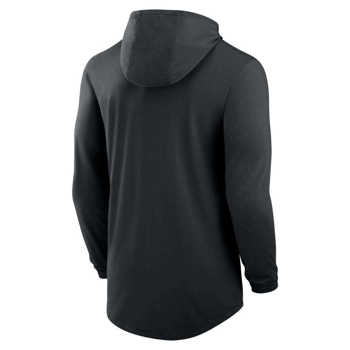 Men's Nike Iowa Hawkeyes Pattern LS Hooded Tee