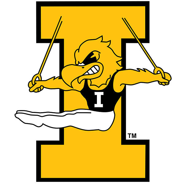 IOWA GYMNASTICS 3X2 DECAL