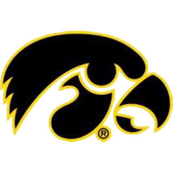 MULTI TIGERHAWK GOLD/BLACK CENTER DECAL