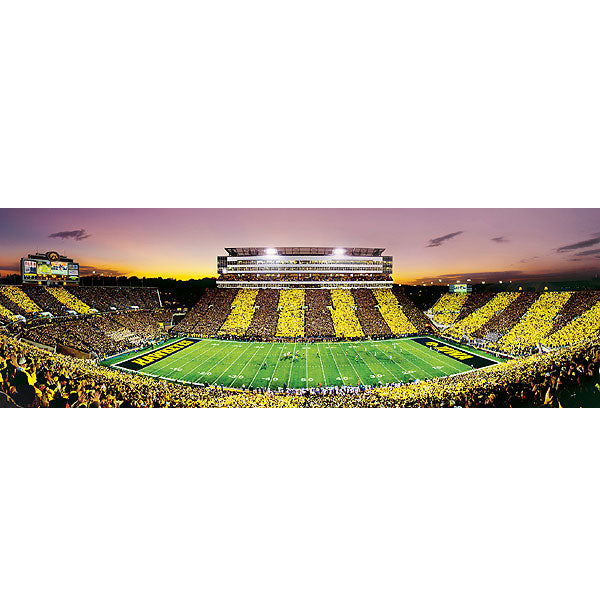 Iowa Hawkeyes University of Iowa Puzzle