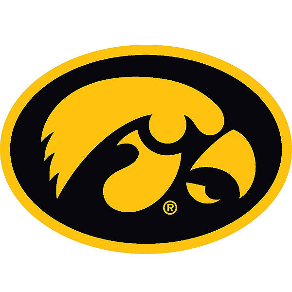 OVAL TIGERHWK MULTI DECAL