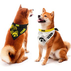 Iowa Hawkeyes Pet Home/Away Bandana