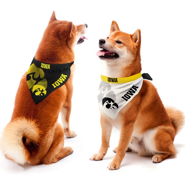Iowa Hawkeyes Pet Home/Away Bandana