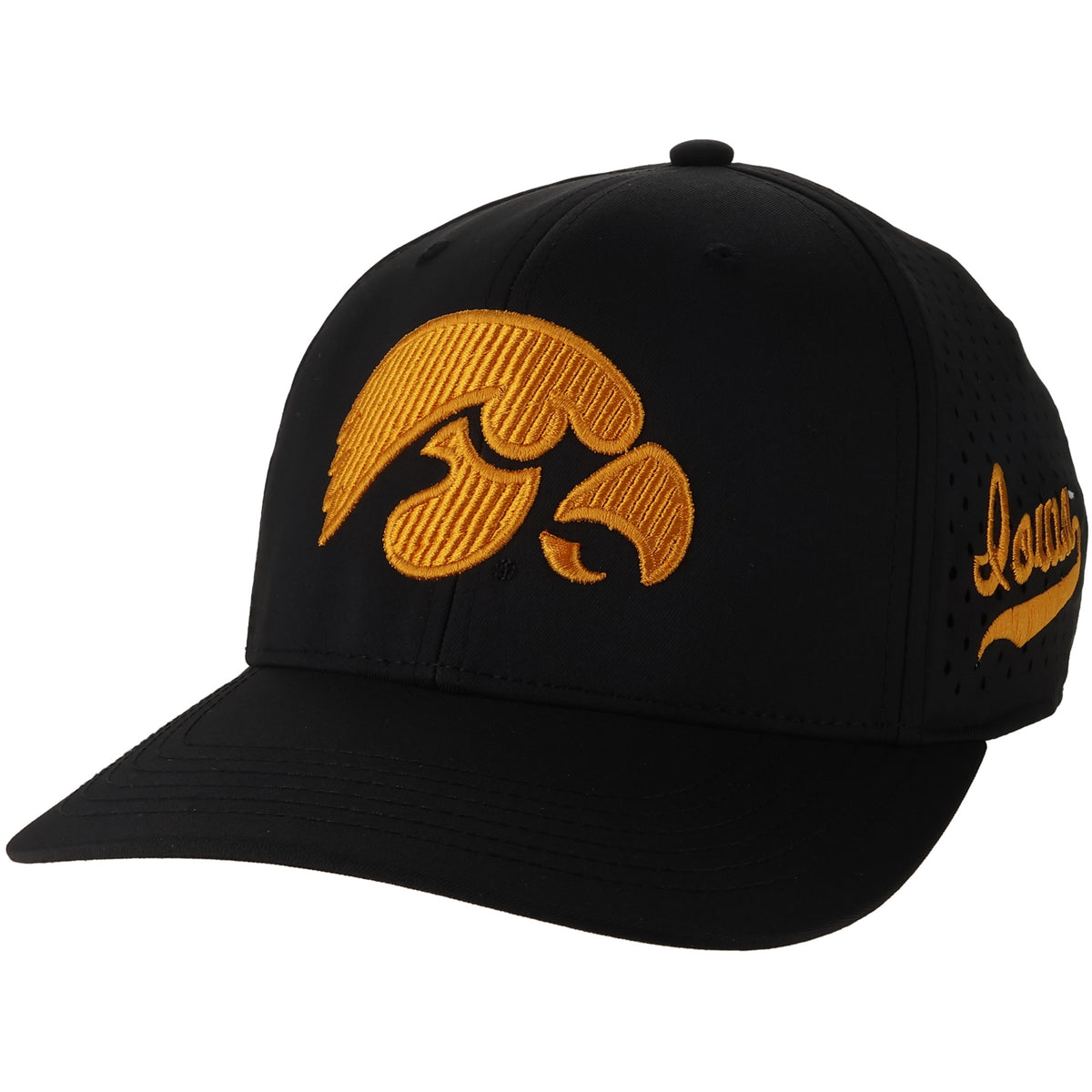 IOWA REMPA CORDED LOGO