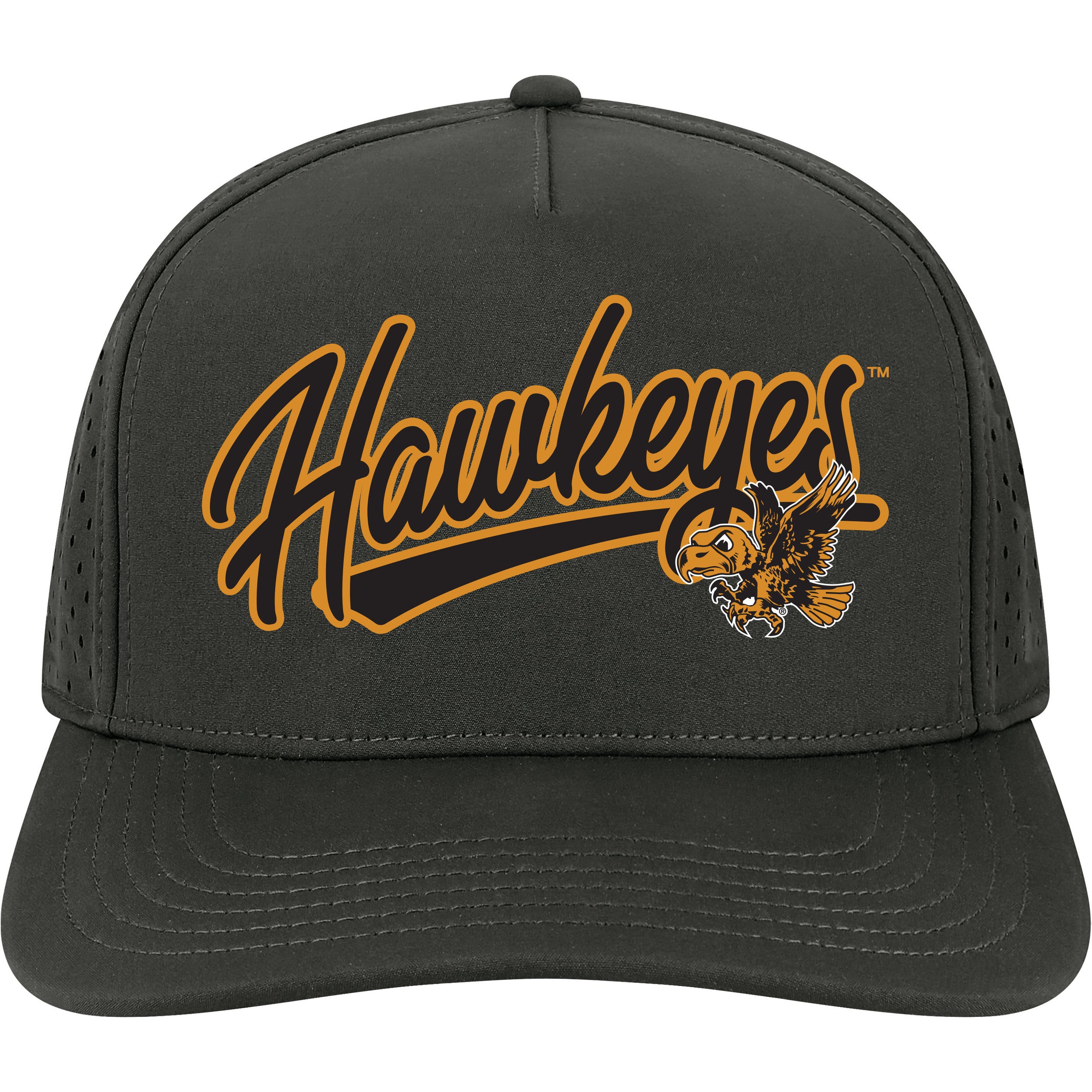 Iowa Hawkeyes Cut Above Vintage Hat