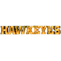 Iowa Hawkeyes Light Up Wordmark Sign