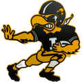 IOWA VINTAGE FOOTBALL HERKY DECAL