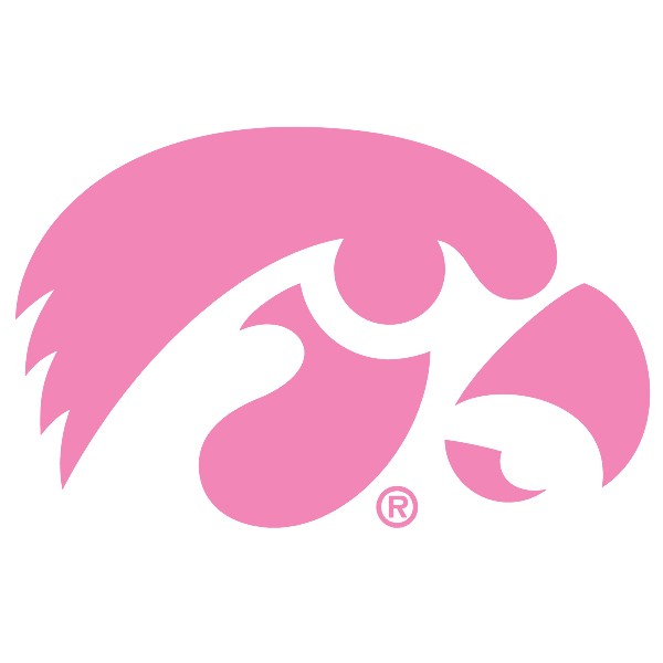 IOWA TIGERHAWK MINI 3X2 DECAL