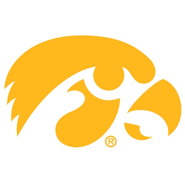 IOWA TIGERHAWK MINI 3X2 DECAL