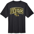 Iowa Big Logo SS Tee