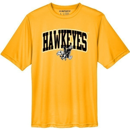 Iowa Big Logo SS Tee