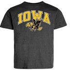 IOWA VERTICAL ARCH W/VIN LOGO