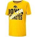 Iowa Hawkeyes Youth World at your Feet Tee