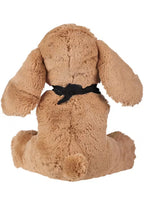 Iowa Hawkeyes 10" Floppy Ear Dog Collectible Fashion Plush