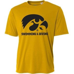 Iowa Hawkeyes Performance SS Swim & Dive Tee