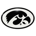 IOWA OVAL TIGERHAWK MAGNET