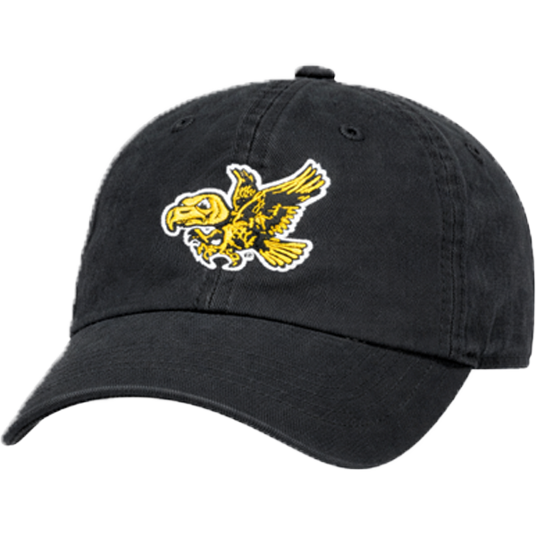 IOWA Hawkeyes Franchise Hat Flying Herk