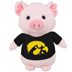IOWA COUNTRY CRITTERS