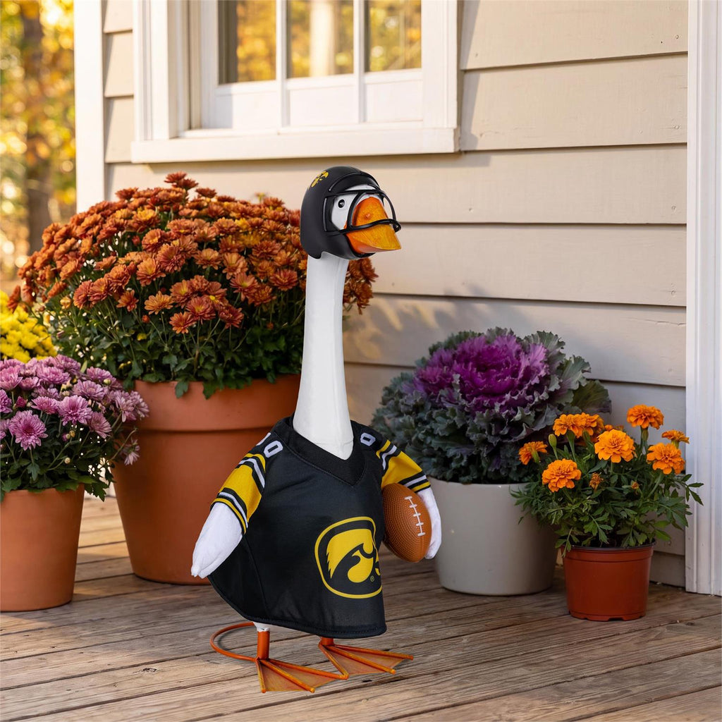 IOWA HAWKEYE GIDDY GOOSE