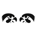 Iowa Hawkeyes Mirror Tigerhawk Decals 6.6 X 2