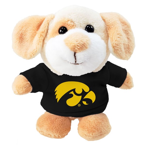 Iowa Hawkeyes Stubbies w/ Tee