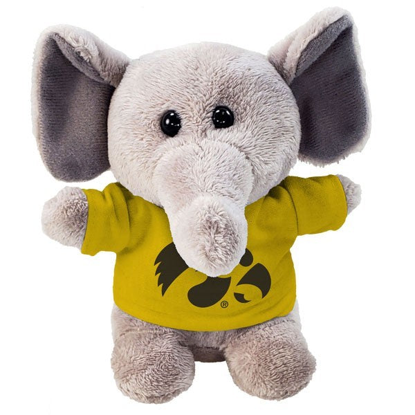 Iowa Hawkeyes Stubbies w/ Tee