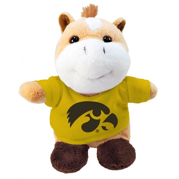 Iowa Hawkeyes Stubbies w/ Tee
