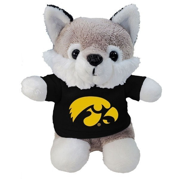 Iowa Hawkeyes Stubbies w/ Tee