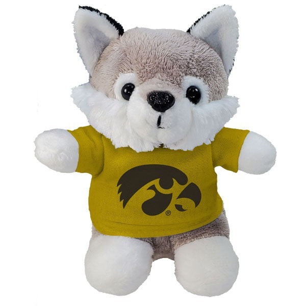Iowa Hawkeyes Stubbies w/ Tee