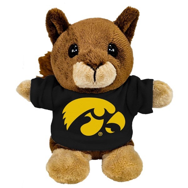 Iowa Hawkeyes Stubbies w/ Tee