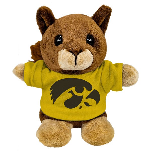 Iowa Hawkeyes Stubbies w/ Tee