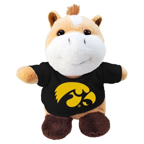 Iowa Hawkeyes Stubbies w/ Tee