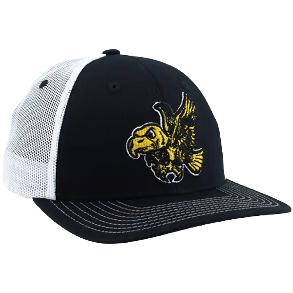 Iowa Hawkeyes Flying Herky X-Line Hat