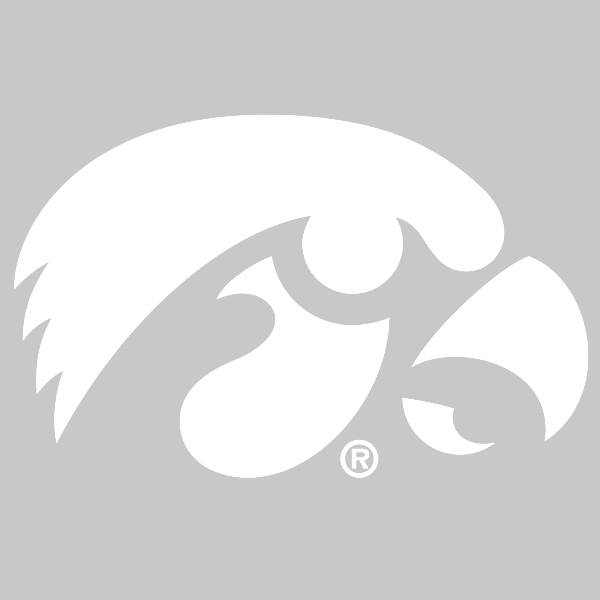 Iowa Hawkeyes Tiger Hawk Decal