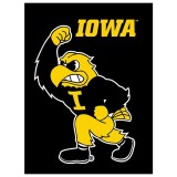 Iowa Hawkeyes Vintage Banner