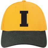 Iowa Hawkeyes Dome Flex-Fit Hat