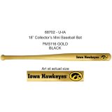 Iowa Hawkeyes Baseball Bat