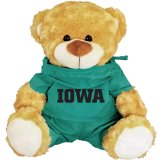 Iowa Hawkeyes Scrub Bear