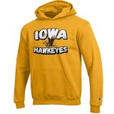 Iowa Hawkeyes Youth Power Blend Gold Hoodie