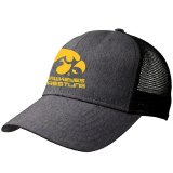 Iowa Hawkeyes Wrestling Snap Back Grey Hat