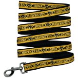 Iowa Hawkeyes Leash