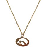 Iowa Hawkeyes Tigerhawk Necklace