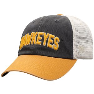 Iowa Hawkeyes Andy Hat