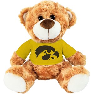 Iowa Hawkeyes Fred Bear