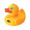 Iowa Hawkeyes Rubber Duck