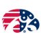 Iowa Hawkeyes Patriotic Logo 10.5" X 7" Decal
