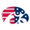 Iowa Hawkeyes Patriotic Logo Mini Decal