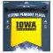 Iowa Hawkeyes String Pennant Flags