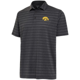 Iowa Hawkeyes Urge Polo