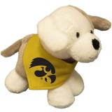 Iowa Hawkeyes Puppy Stuffed Animal